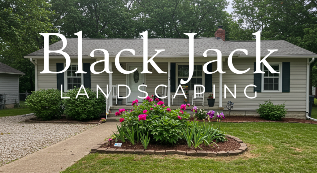 "Welcome to Black Jack sign with a backdrop of beautifully landscaped homes and gardens."